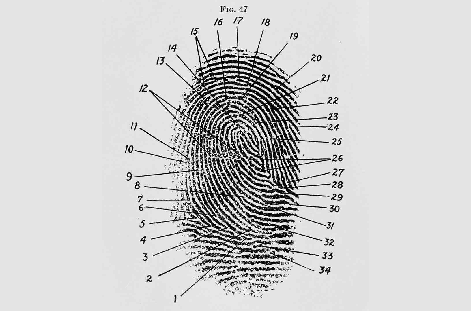 mobile live scan fingerprinting orange county